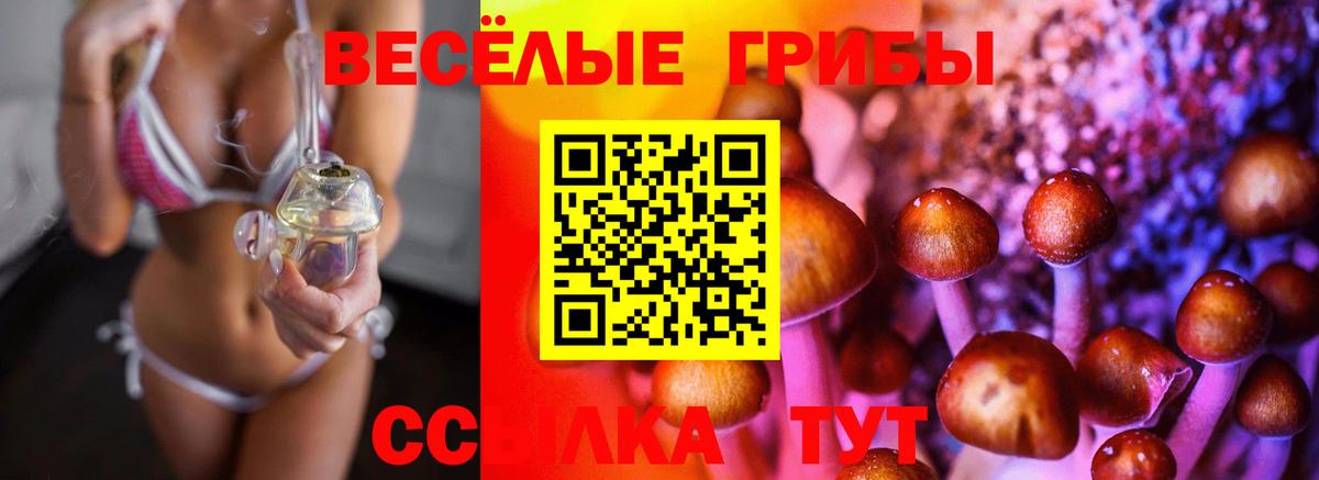 Галлюциногенные грибы Psilocybe  Вход с VPN  Вичуга 
